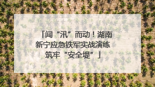 闻“汛”而动！湖南新宁应急铁军实战演练筑牢“安全堤”