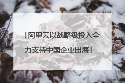 阿里云以战略级投入全力支持中国企业出海