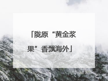 陇原“黄金浆果”香飘海外
