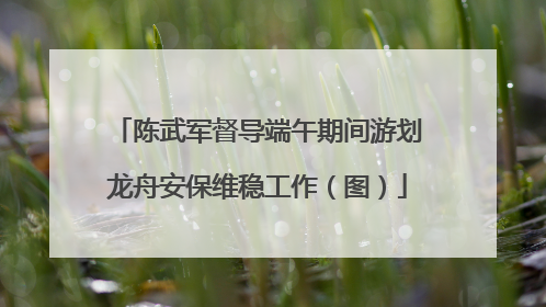 陈武军督导端午期间游划龙舟安保维稳工作（图）
