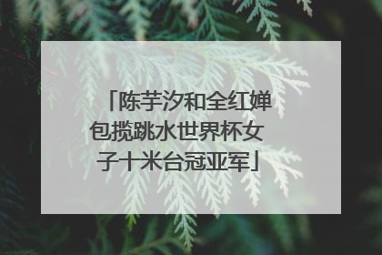 陈芋汐和全红婵包揽跳水世界杯女子十米台冠亚军