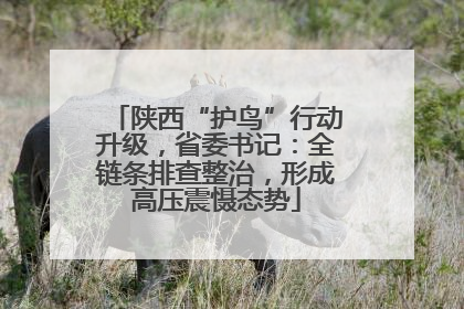 陕西“护鸟”行动升级，省委书记：全链条排查整治，形成高压震慑态势