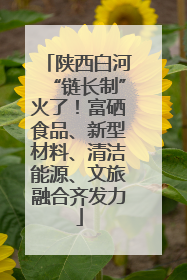 陕西白河“链长制”火了！富硒食品、新型材料、清洁能源、文旅融合齐发力