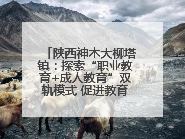 陕西神木大柳塔镇：探索“职业教育+成人教育”双轨模式 促进教育融合发展