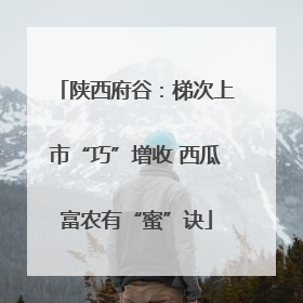 陕西府谷：梯次上市“巧”增收 西瓜富农有“蜜”诀