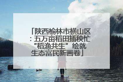 陕西榆林市横山区：五万亩稻田插秧忙 “稻渔共生”绘就生态富民新画卷