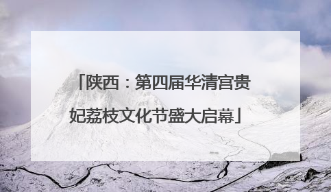 陕西：第四届华清宫贵妃荔枝文化节盛大启幕