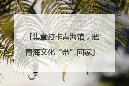 集章打卡青海馆，把青海文化“带”回家