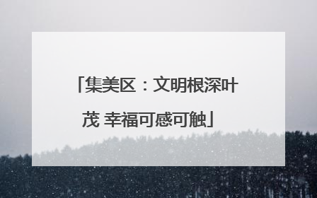集美区：文明根深叶茂 幸福可感可触