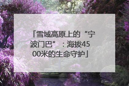 雪域高原上的“宁波门巴”：海拔4500米的生命守护