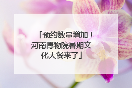 预约数量增加！河南博物院暑期文化大餐来了