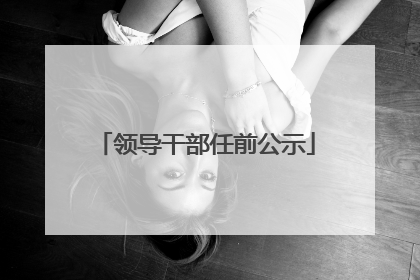 领导干部任前公示