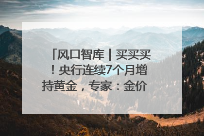 风口智库｜买买买！央行连续7个月增持黄金，专家：金价或仍易涨难跌
