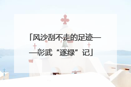 风沙刮不走的足迹——彰武“逐绿”记