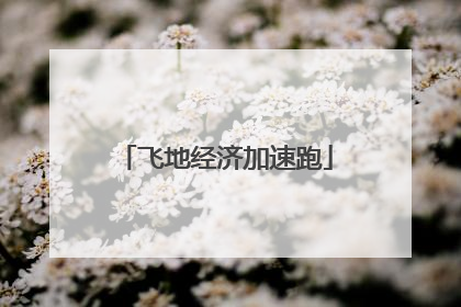 飞地经济加速跑
