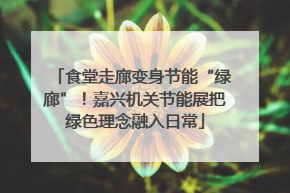 食堂走廊变身节能“绿廊”！嘉兴机关节能展把绿色理念融入日常