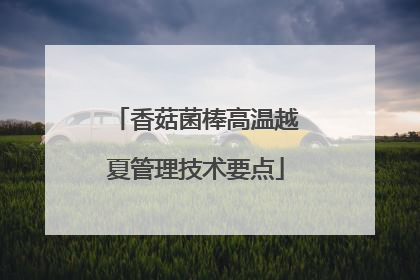香菇菌棒高温越夏管理技术要点