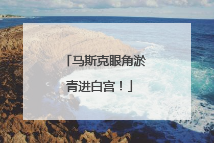 马斯克眼角淤青进白宫！