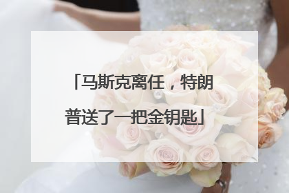 马斯克离任，特朗普送了一把金钥匙