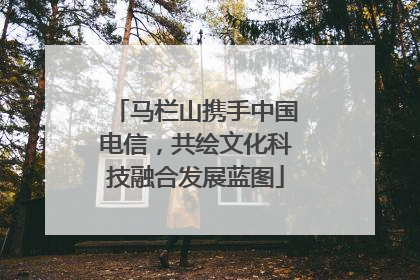 马栏山携手中国电信，共绘文化科技融合发展蓝图
