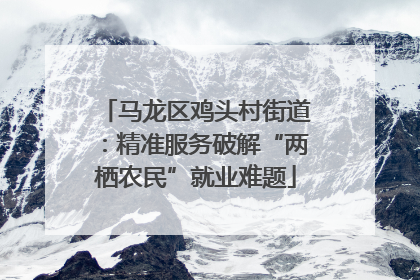 马龙区鸡头村街道：精准服务破解“两栖农民”就业难题