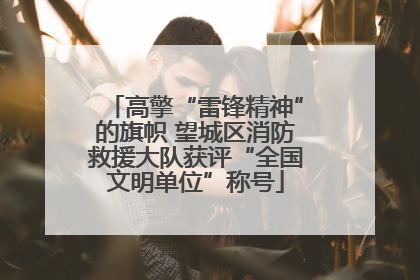 高擎“雷锋精神”的旗帜 望城区消防救援大队获评“全国文明单位”称号