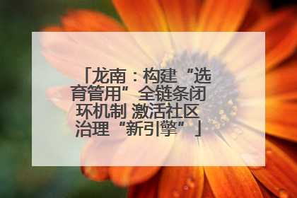 龙南：构建“选育管用”全链条闭环机制 激活社区治理“新引擎”