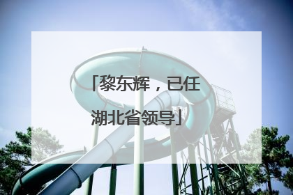 黎东辉，已任湖北省领导