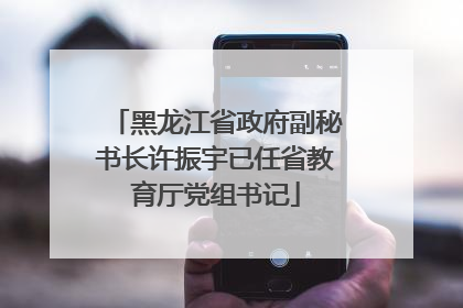 黑龙江省政府副秘书长许振宇已任省教育厅党组书记