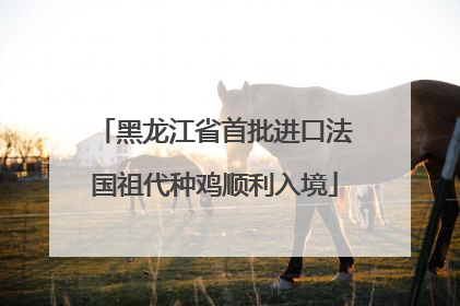 黑龙江省首批进口法国祖代种鸡顺利入境