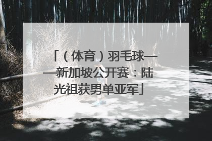 （体育）羽毛球——新加坡公开赛：陆光祖获男单亚军