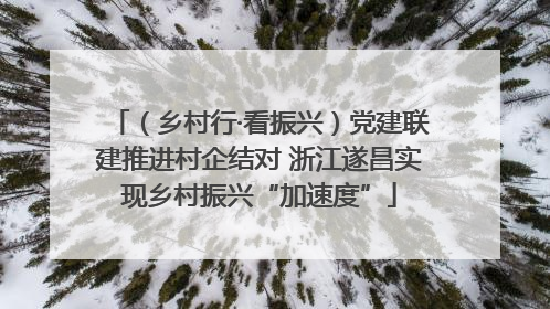 （乡村行·看振兴）党建联建推进村企结对 浙江遂昌实现乡村振兴“加速度”