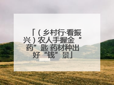 （乡村行·看振兴）农人手握金“药”匙 药材种出好“钱”景