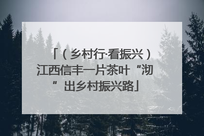 （乡村行·看振兴）江西信丰一片茶叶“沏”出乡村振兴路