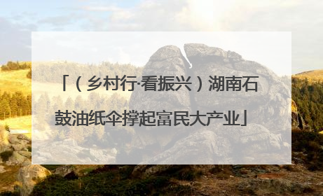 （乡村行·看振兴）湖南石鼓油纸伞撑起富民大产业