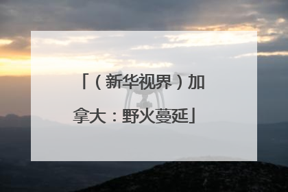 （新华视界）加拿大：野火蔓延