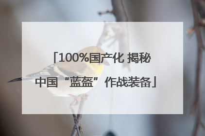 100%国产化 揭秘中国“蓝盔”作战装备