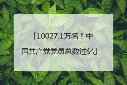10027.1万名！中国共产党党员总数过亿