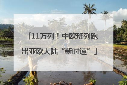 11万列！中欧班列跑出亚欧大陆“新时速”