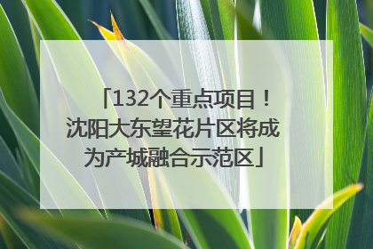 132个重点项目！沈阳大东望花片区将成为产城融合示范区