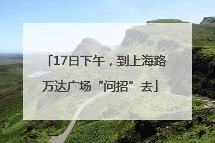 17日下午，到上海路万达广场“问招”去