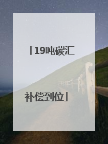 19吨碳汇补偿到位