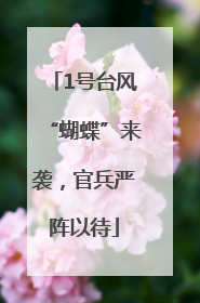 1号台风“蝴蝶”来袭，官兵严阵以待