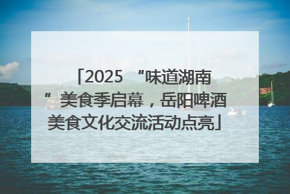 2025 “味道湖南”美食季启幕，岳阳啤酒美食文化交流活动点亮