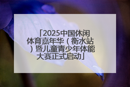 2025中国休闲体育嘉年华（衡水站）暨儿童青少年体能大赛正式启动
