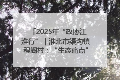 2025年“政协江淮行”｜淮北市渠沟镇程阁村：“生态痛点”变“生态景观”