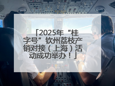 2025年“桂字号”钦州荔枝产销对接（上海）活动成功举办！