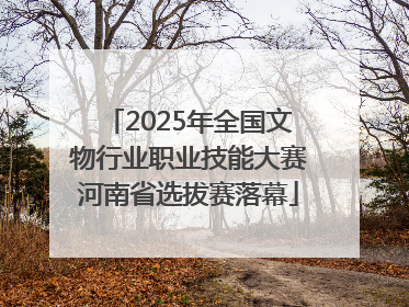 2025年全国文物行业职业技能大赛河南省选拔赛落幕