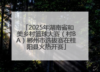 2025年湖南省和美乡村篮球大赛（村BA）郴州市选拔赛在桂阳县火热开赛