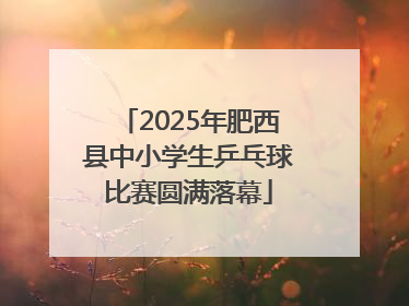 2025年肥西县中小学生乒乓球比赛圆满落幕
